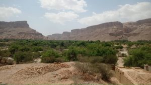 Paysage du Wadi Do’an au Yémen, berceau du miel Sidr réputé pour sa pureté et son authenticité